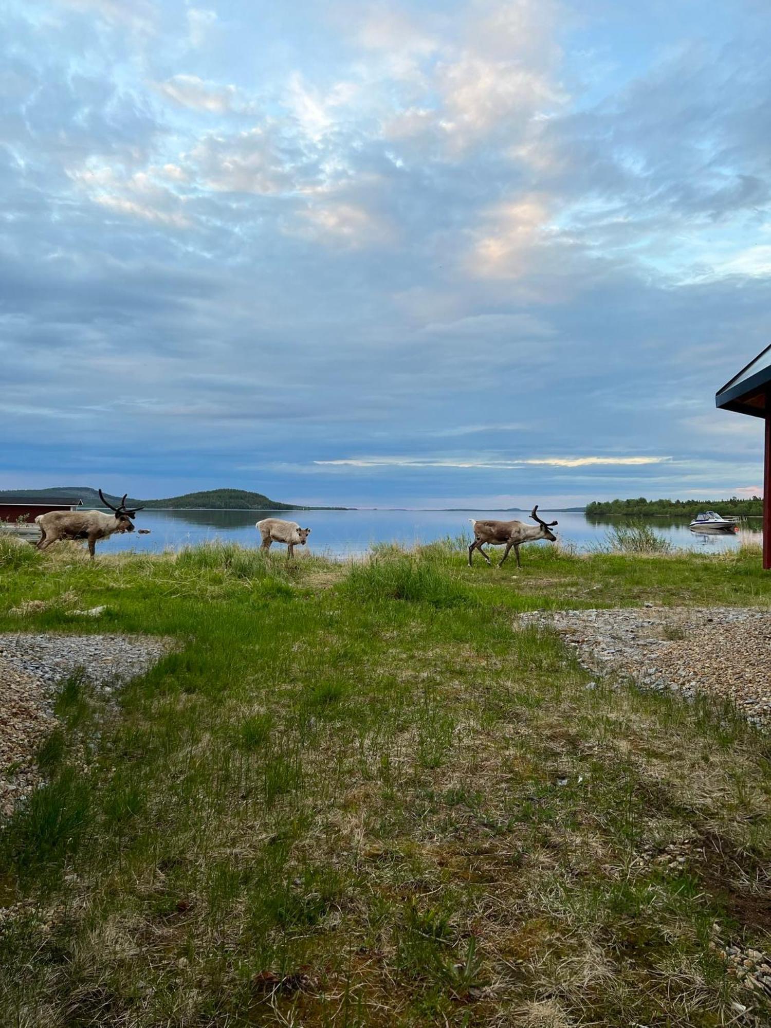 Holiday Village Inari Exterior photo